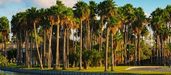 Campus Brownsville